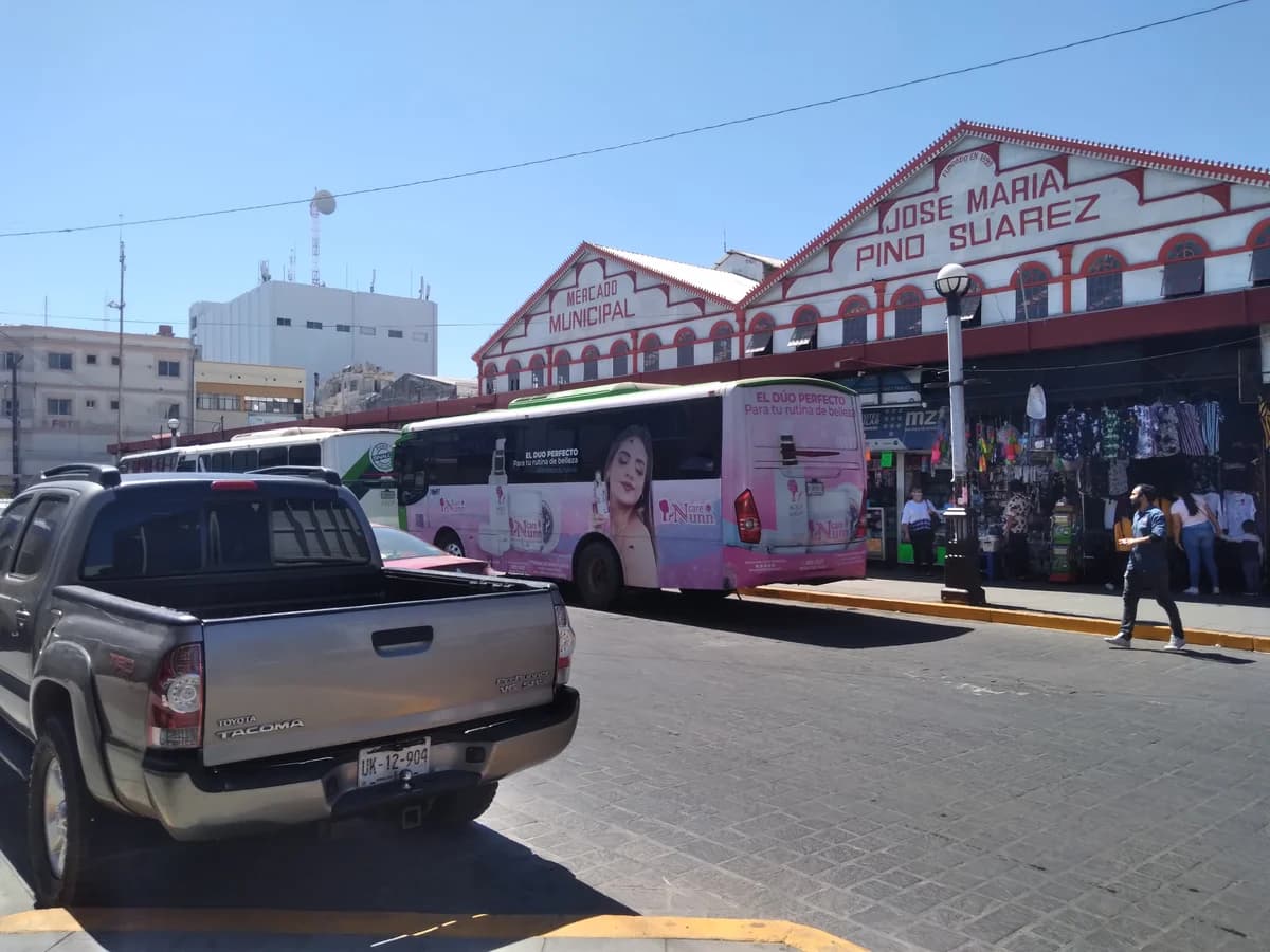 Dégustation de fruits de mer au Mercado Pino Suárez