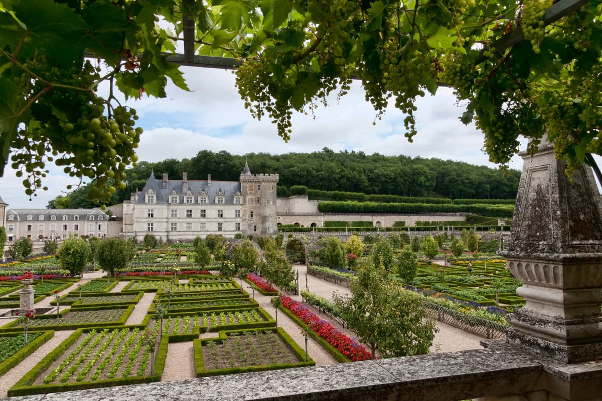 Jardins du Château de Villandry