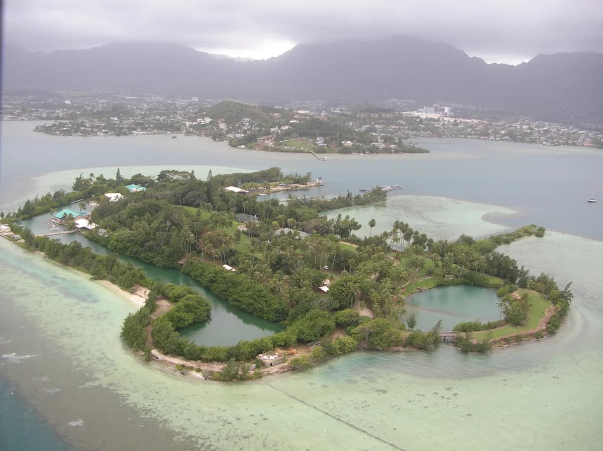 Promenade à Coconut Island (Mokuola)