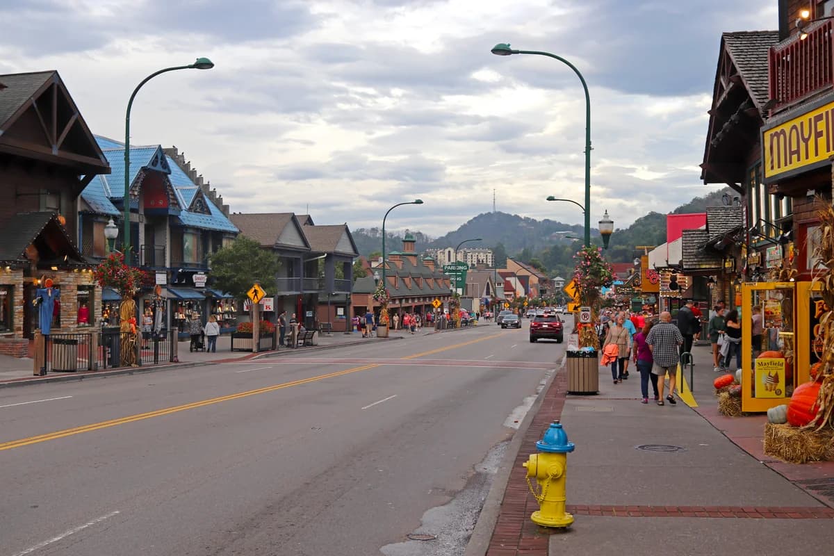 Salt & Pepper Shaker Museum