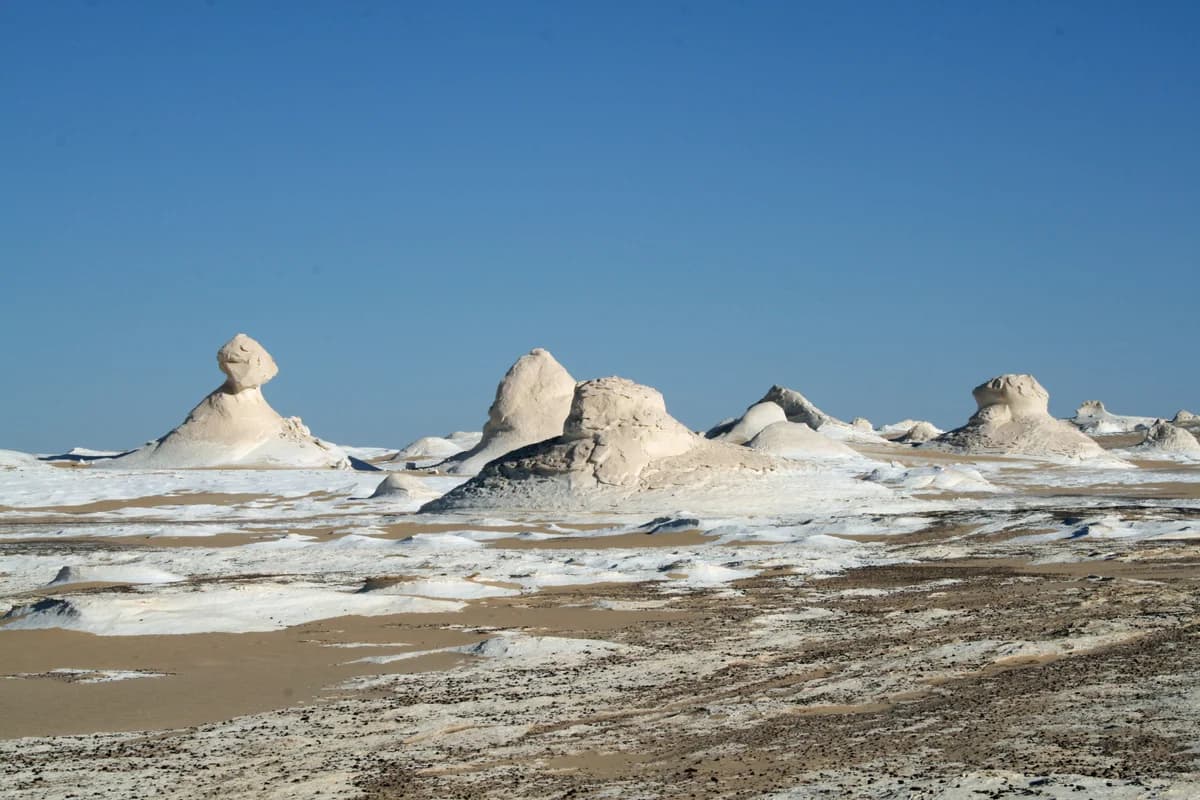 Excursion au Désert Blanc