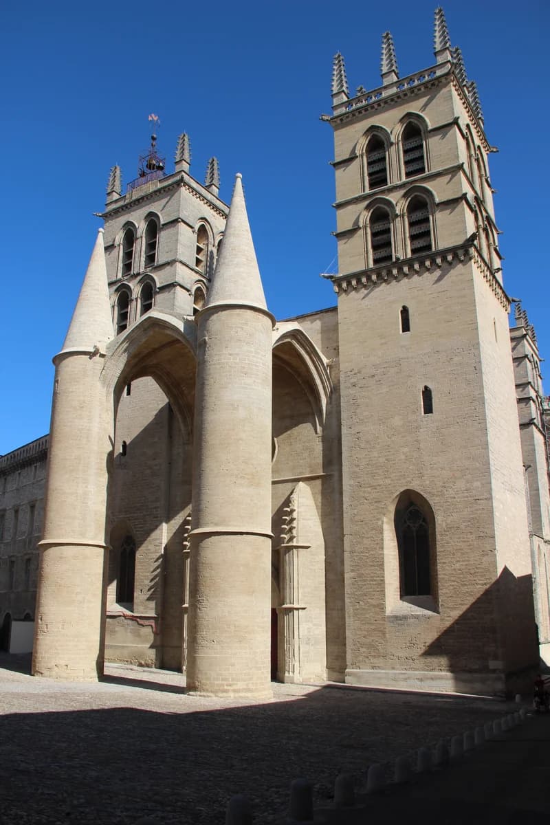 Cathédrale Saint-Pierre (visite des cryptes si disponible)